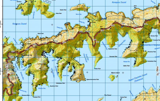 Planning for Te Araroa