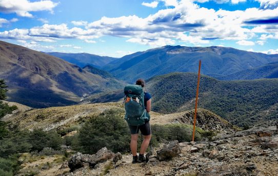 Te Araroa part 2 – Havelock to St Arnaud