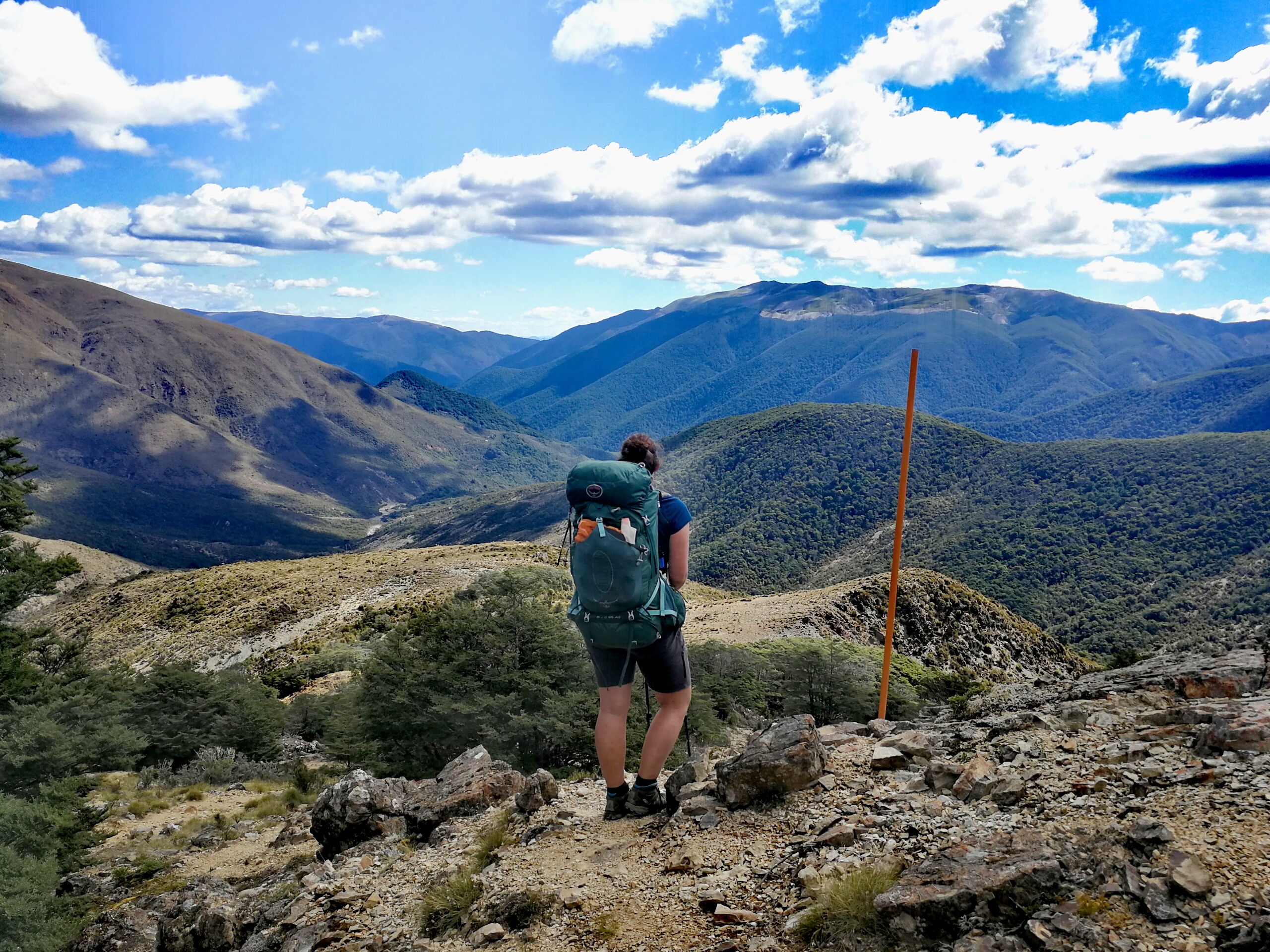 Te Araroa part 2 - Havelock to St Arnaud