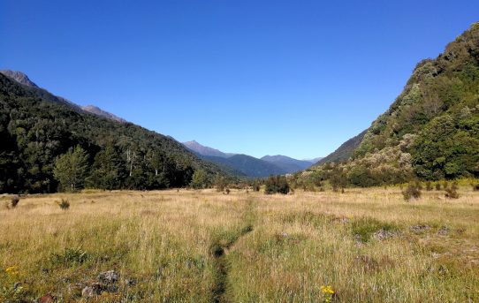 Te Araroa part 4 – Boyle to Arthur’s Pass