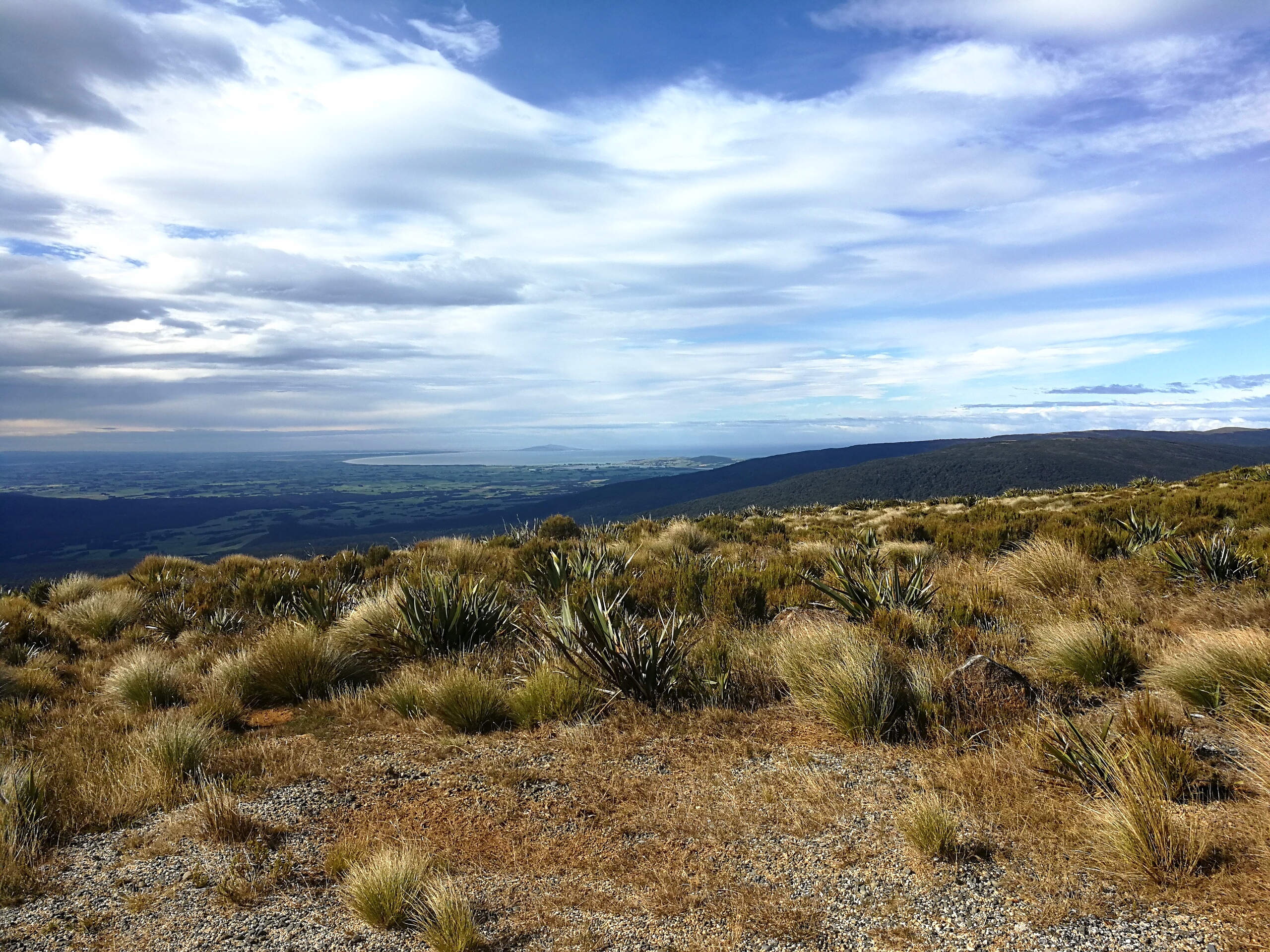 Te Araroa part 8 - Te Anau to Bluff