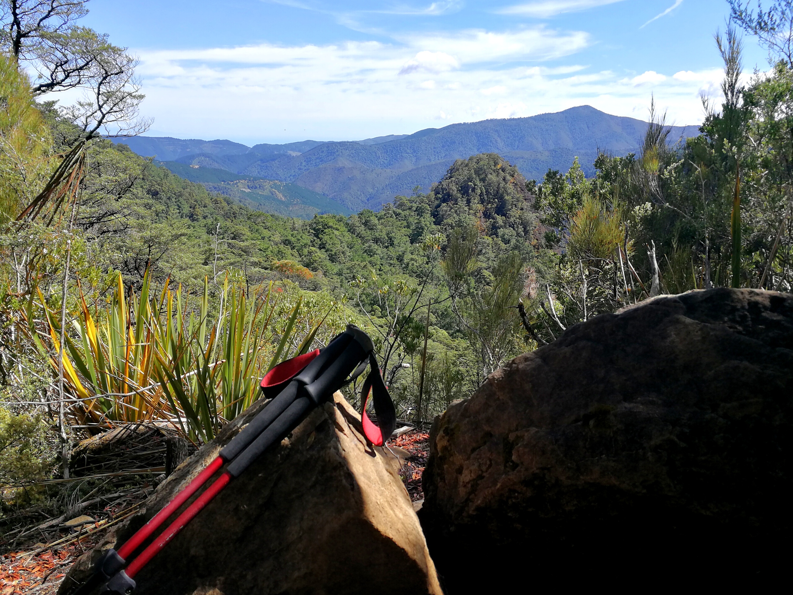 Te Araroa Gear Debrief