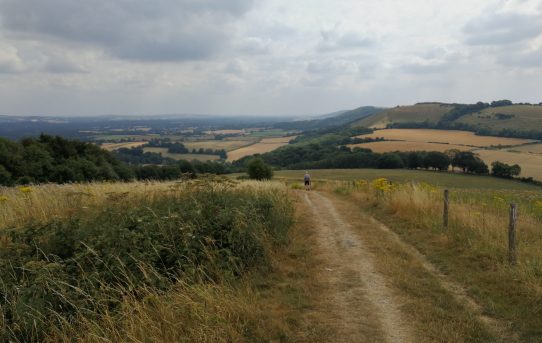 Finishing the South Downs Way